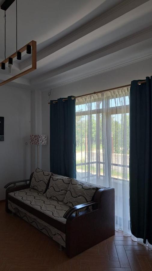Casa Francesca Apartment Comanesti  ภายนอก รูปภาพ