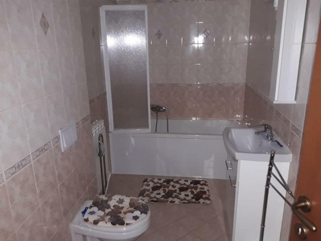 Casa Francesca Apartment Comanesti  ภายนอก รูปภาพ